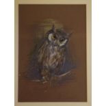 Peg Campbell, "Owl" pastel on paper, signed lower right, 32 x 22.5 cm approx.