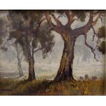 Werner Filipich (1943-), Misty Gums, Stroud oil on board, signed lower left, 19.5cm x 24.5cm