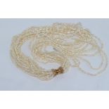 Multi strand river pearl necklace with 14ct yellow gold clasp, 43cm long approx