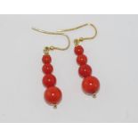 Graduated coral bead earrings on silver gilt hooks