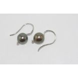 Tahitian pearl earrings with silver hooks