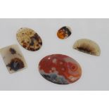 Various pieces of dendritic and landscape agate suitable for jewellery making