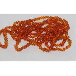 Opera length amber bead necklace