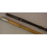 Vintage musical walking cane together with an oak 'pace' stick