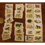 Three part sets of early silks cigarette cards, dogs