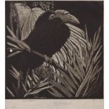 Lionel Arthur Lindsay (1874-1961), The Hornbill woodcut, edition of 100, signed in pencil lower
