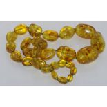 Matinee length yellow-green Baltic amber necklace including some insects