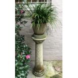 Pair of concrete plant stands with plants