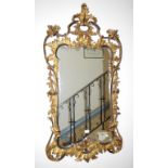 Ornate gilt mirror