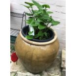 Large brown garden pot with plant