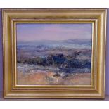 Susan Sheridan (1939-) landscape oil on board, signed lower right, 24cm x 29cm approx.