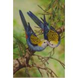 Paul Margocsy (1945), Australian Pale-headed Rosellas, mixed media, signed & titled lower left,