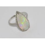 14ct white gold, solid Australian opal ring with diamond surround, weight: approx 3.75 grams,