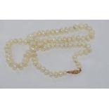 Pearl necklace with clasp marked 14K size: approx 51cm length
