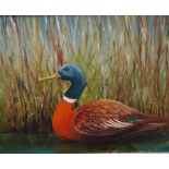 Sue Nagel Australia, 1942- "Chestnut breasted shell duck", oil on board, signed lower right, 19cm