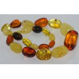 Multi-colour Baltic amber graduated bead necklace A natural amber matinee length necklace with