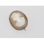 Antique shell cameo brooch size: approx 2 by 2 cm