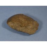 Aboriginal stone hand axe sharpened edge. L13cmc approx