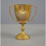 Sterling silver trophy cup