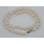 Well matched pearl necklace