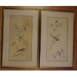 Artist unknown, 2 studies of birds