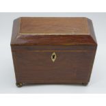 Regency casuarina sarcophagus tea caddy