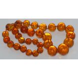 Honey coloured Baltic amber bead necklace