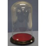 Antique glass dome & wood base