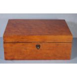 Large late Georgian casuarina document box