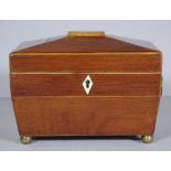 Regency Casuarina tea caddy