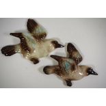 Two Australian pottery Kookaburra figures