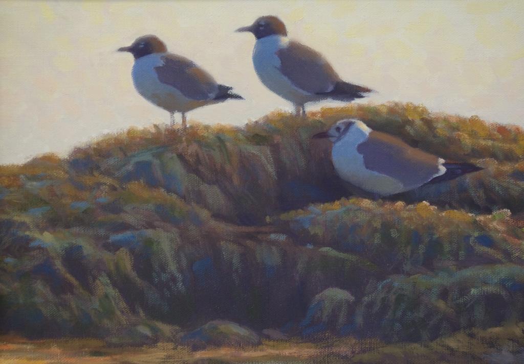 Sean Murtha (1968-), Three Seabirds