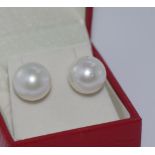 18ct white gold cultured pearl studs