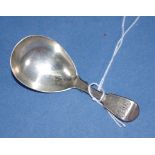William IV sterling silver caddy spoon