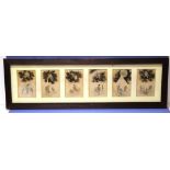 Framed series of six Japanese watercolours