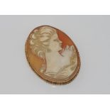 9ct yellow gold, large shell cameo