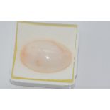 Unset cabochon cut angel skin coral