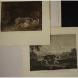 George Stubbs (1724-1806), 2 etchings