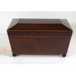 Regency beefwood tea caddy