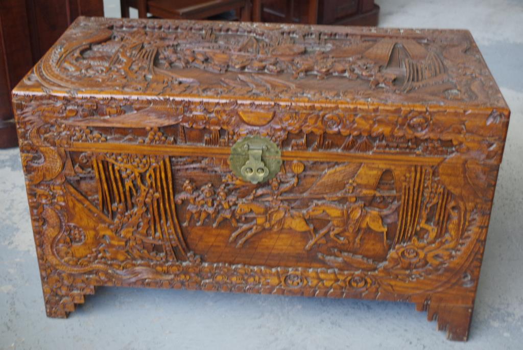 Oriental camphorwood trunk