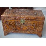 Oriental camphorwood trunk