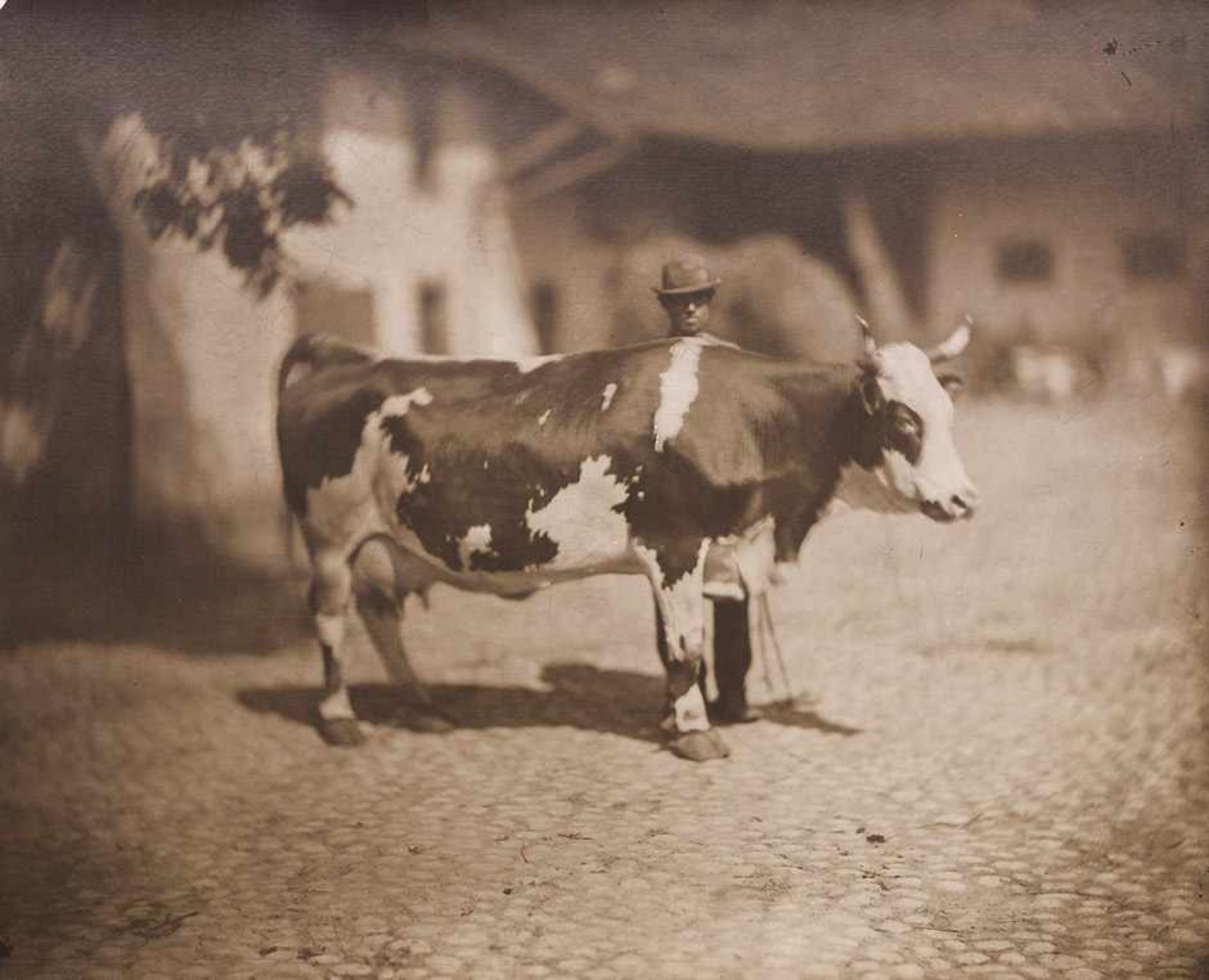 Braun, Adolphe: Man with cow, from the series "Animeaux du ferme" Man with cow, from the series '