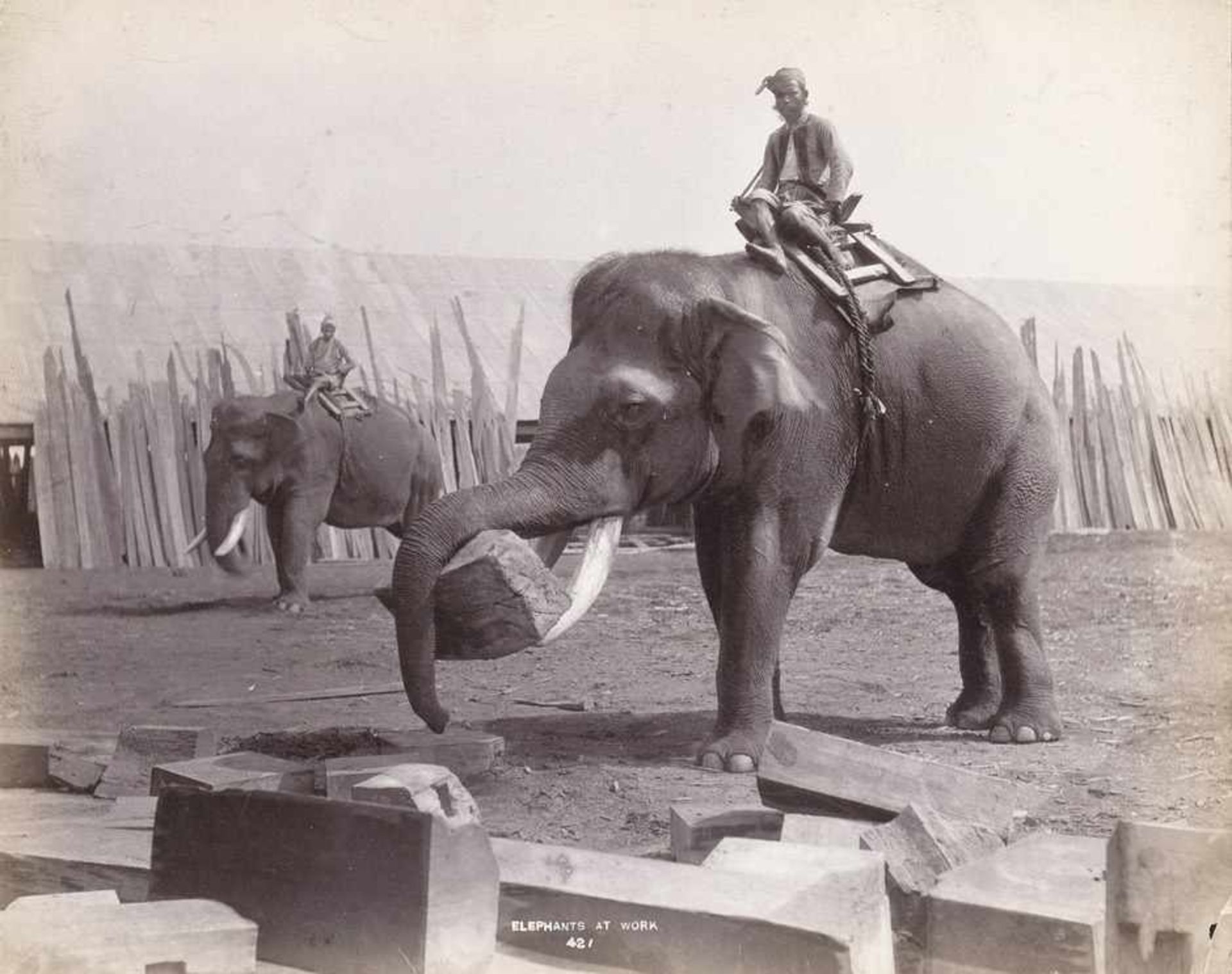 Burma: Images of working elephants Photographer: Felice Beato (1824 - 1909), Adolphe Philippe