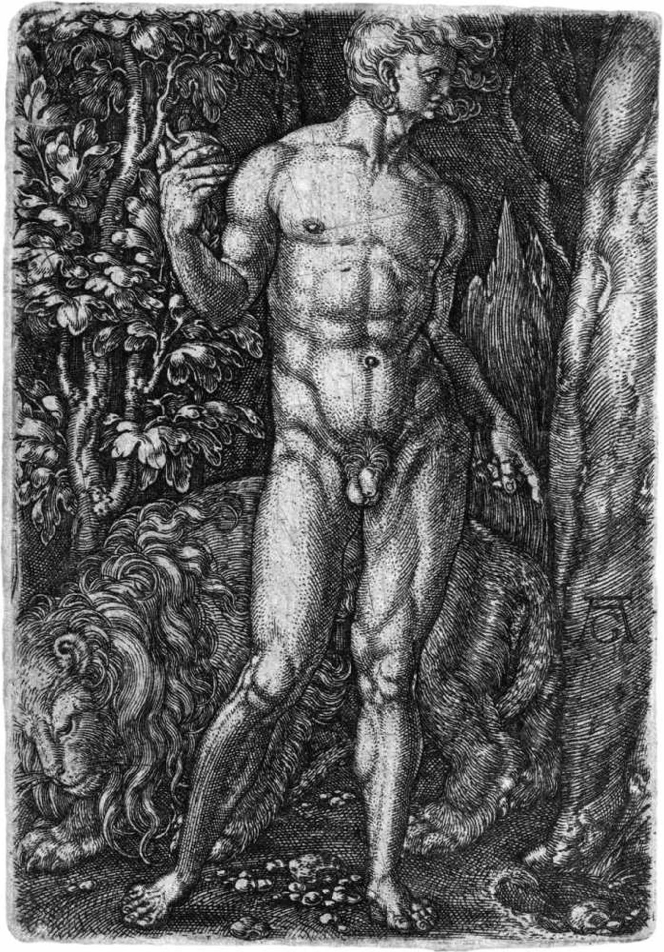 Aldegrever, Heinrich: Adam mit dem Löwen Adam mit dem Löwen. Kupferstich. 9,3 x 6,4 cm. B. 11,