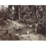 Ceylon: Picturesque views of Ceylon landscapes Photographer: Charles T. Scowen & Co. (1852 -