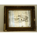 An interesting late C20th image of an omnivore scull etching. Glass print with silver leaf underlay.