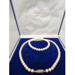 A 1980's single row of uniform cultured pearl necklace, Martin & Co. Sterling silver safety clasp