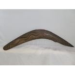 An Indigenous Aboriginal Boomerang with carving. Possibly made from the Mulga root. Damage on one