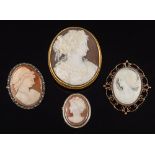 An oval shell cameo portrait brooch depicting a classical woman: her hair adorned with ribbon and