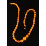 A small amber bead single string necklace: with 51 oblong beads graduated from 7mm long to 14mm